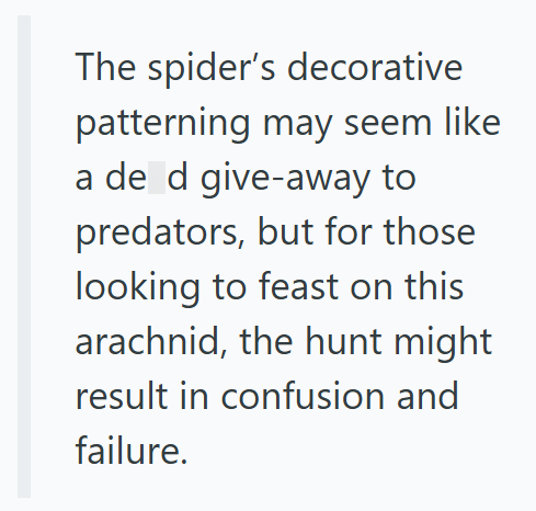 The spider's decorative patterning may seem like a de d give-away to predators, but for those looking to feast on this arachnid, the hunt might result in confusion and failure.