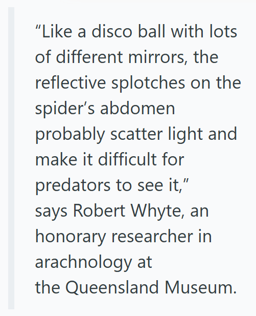 "Like a disco ball with lots of different mirrors, the reflective splotches on the spider's abdomen probably scatter light and make it difficult for predators to see it," says Robert Whyte, an honorary researcher in arachnology at the Queensland Museum.