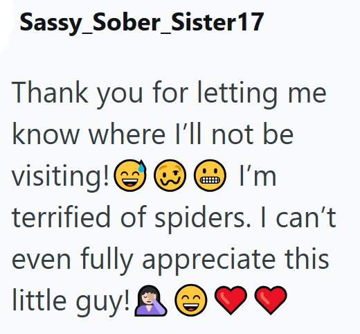 Sassy_Sober_Sister17 Thank you for letting me know where I'll not be visiting! I'm terrified of spiders. I can't even fully appreciate this little guy! ED