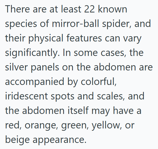 There are at least 22 known species of mirror-ball spider, and their physical features can vary significantly. In some cases, the silver panels on the abdomen are accompanied by colorful, iridescent spots and scales, and the abdomen itself may have a red, orange, green, yellow, or beige appearance.