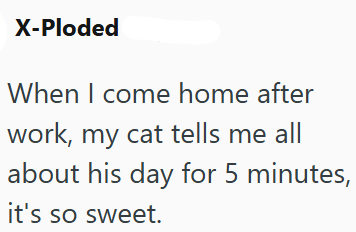 X-Ploded When I come home after work, my cat tells me all about his day for 5 minutes, it's so sweet.
