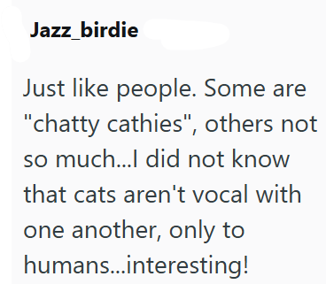 Jazz_birdie Just like people. Some are "chatty cathies", others not so much...I did not know that cats aren't vocal with one another, only to humans...interesting!