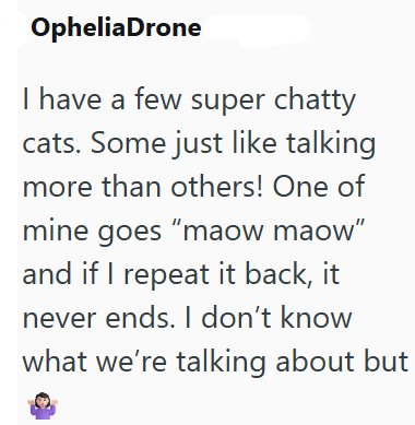 OpheliaDrone I have a few super chatty cats. Some just like talking more than others! One of mine goes "maow maow" and if I repeat it back, it never ends. I don't know what we're talking about but