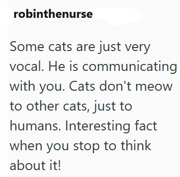 robinthenurse Some cats are just very vocal. He is communicating with you. Cats don't meow to other cats, just to humans. Interesting fact when you stop to think about it!