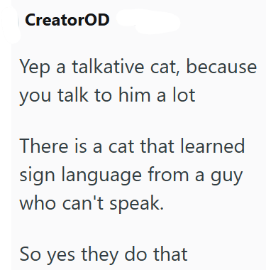 CreatorOD Yep a talkative cat, because you talk to him a lot There is a cat that learned sign language from a guy who can't speak. So yes they do that