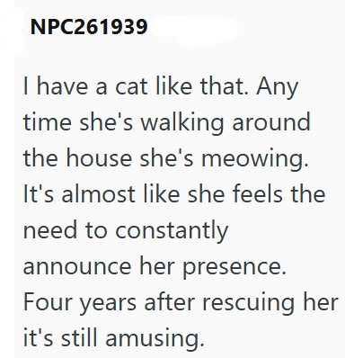 NPC261939 I have a cat like that. Any time she's walking around the house she's meowing. It's almost like she feels the need to constantly announce her presence. Four years after rescuing her it's still amusing.
