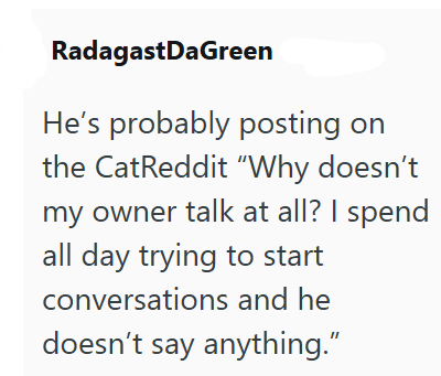 RadagastDaGreen He's probably posting on the CatReddit "Why doesn't my owner talk at all? I spend all day trying to start conversations and he doesn't say anything."
