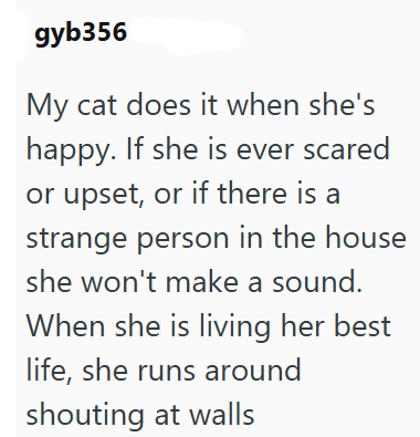 gyb356 My cat does it when she's happy. If she is ever scared or upset, or if there is a strange person in the house she won't make a sound. When she is living her best life, she runs around shouting at walls