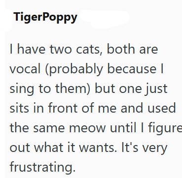 TigerPoppy I have two cats, both are vocal (probably because I sing to them) but one just sits in front of me and used the same meow until I figure out what it wants. It's very frustrating.