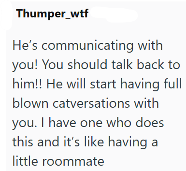 Thumper_wtf He's communicating with you! You should talk back to him!! He will start having full blown catversations with you. I have one who does this and it's like having a little roommate