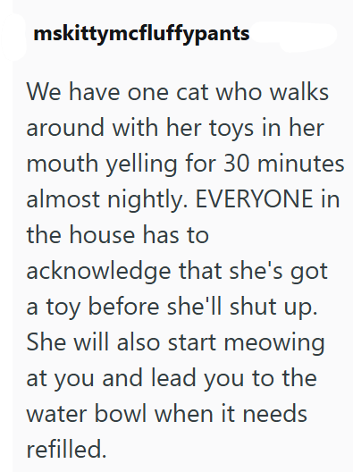 mskittymcfluffypants We have one cat who walks around with her toys in her mouth yelling for 30 minutes almost nightly. EVERYONE in the house has to acknowledge that she's got a toy before she'll shut up. She will also start meowing at you and lead you to the water bowl when it needs refilled.