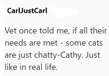CarlJustCarl Vet once told me, if all their needs are met some cats are just chatty-Cathy. Just like in real life.