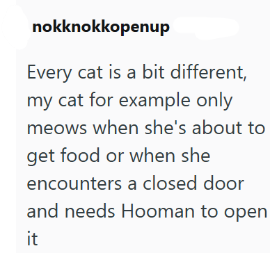nokknokkopenup Every cat is a bit different, my cat for example only meows when she's about to get food or when she encounters a closed door and needs Hooman to open it