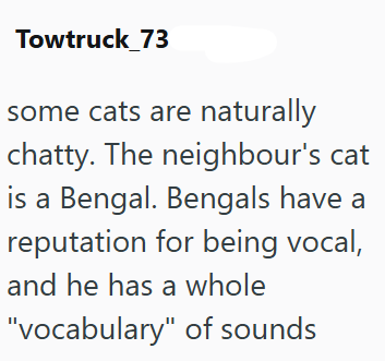 Towtruck_73 some cats are naturally chatty. The neighbour's cat is a Bengal. Bengals have a reputation for being vocal, and he has a whole "vocabulary" of sounds