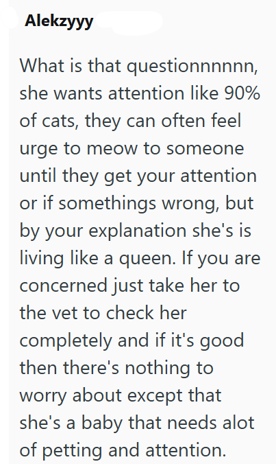 Alekzyyy What is that questionnnnnn, she wants attention like 90% of cats, they can often feel urge to meow to someone until they get your attention or if somethings wrong, but by your explanation she's is living like a queen. If you are concerned just take her to the vet to check her completely and if it's good then there's nothing to worry about except that she's a baby that needs alot of petting and attention.
