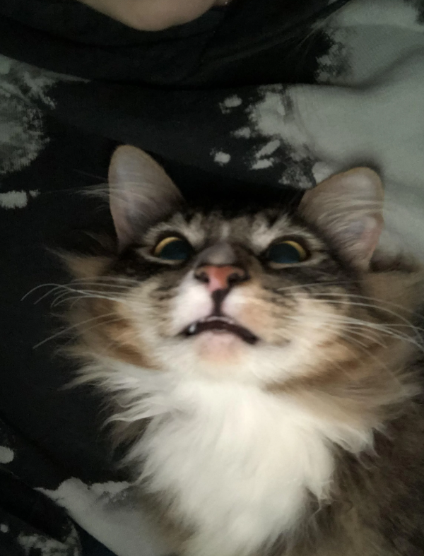 C