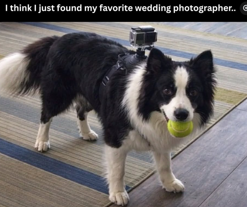 I think I just found my favorite wedding photographer.. €