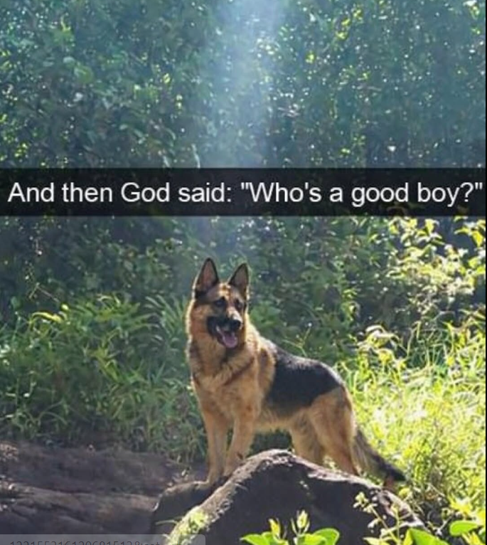 And then God said: "Who's a good boy?" 1221552161206015128