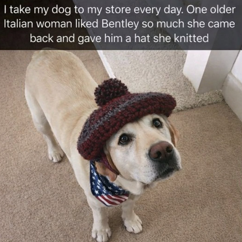 I take my dog to my store every day. One older Italian woman liked Bentley so much she came back and gave him a hat she knitted
