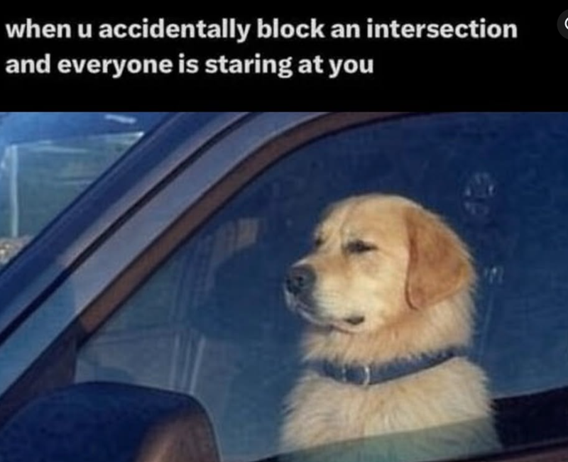 when u accidentally block an intersection and everyone is staring at you