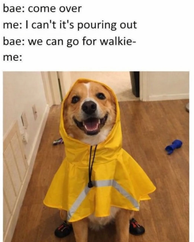 bae: come over me: I can't it's pouring out bae: we can go for walkie- me: