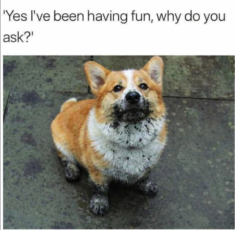'Yes I've been having fun, why do you ask?'