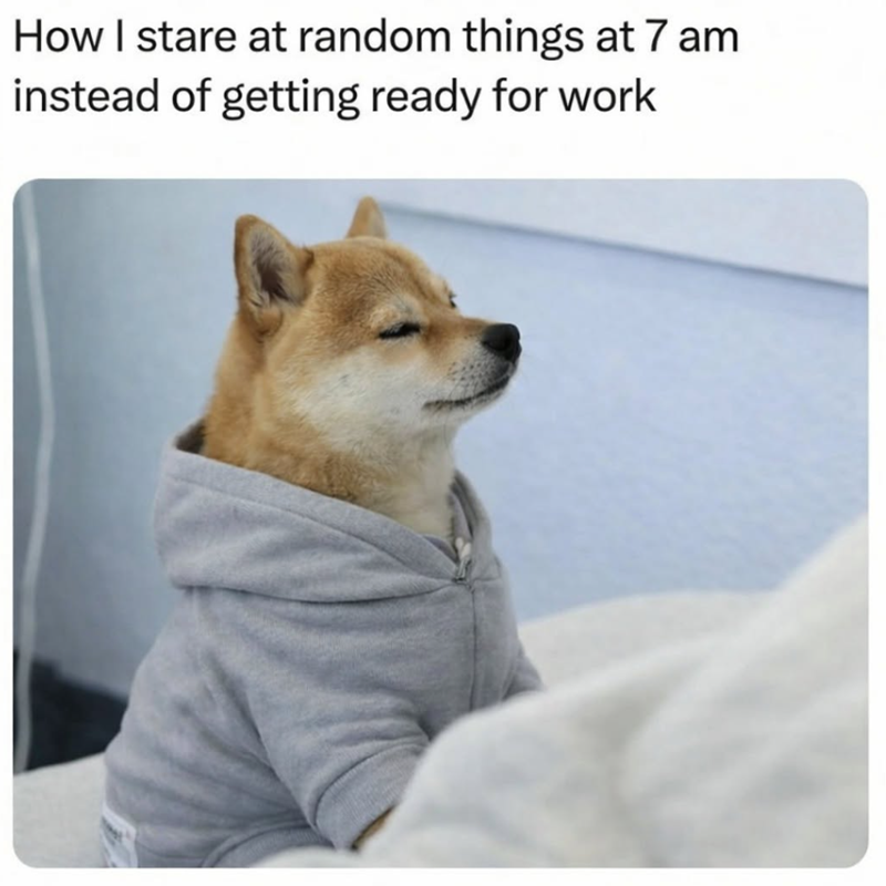 How I stare at random things at 7 am instead of getting ready for work