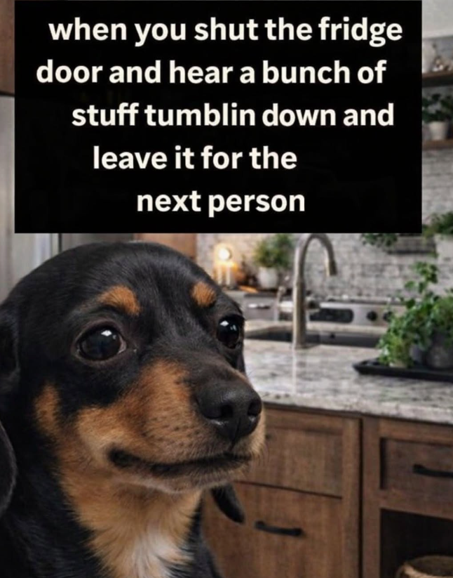 when you shut the fridge door and hear a bunch of stuff tumblin down and leave it for the next person