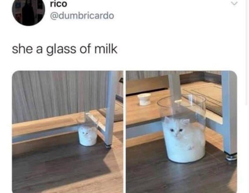 rico @dumbricardo she a glass of milk >