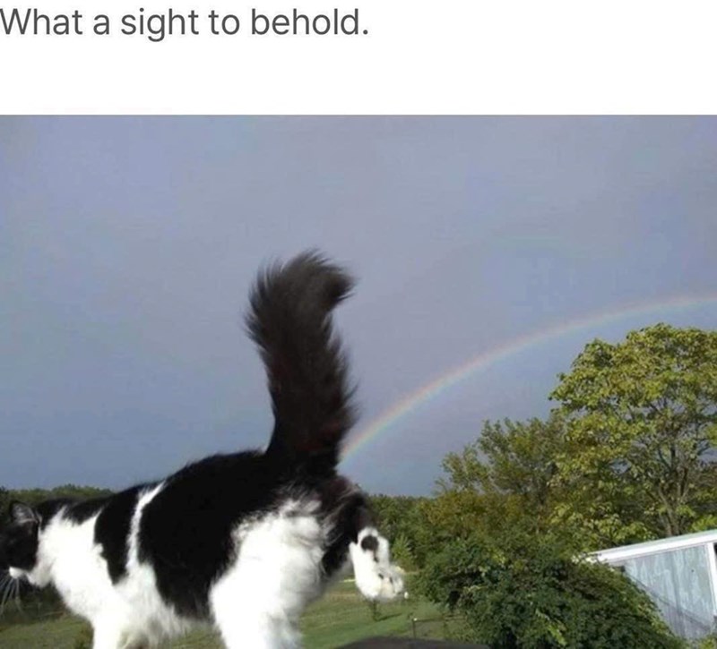 What a sight to behold.