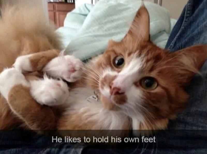 He likes to hold his own feet