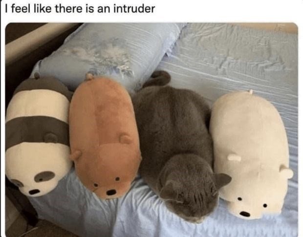 I feel like there is an intruder