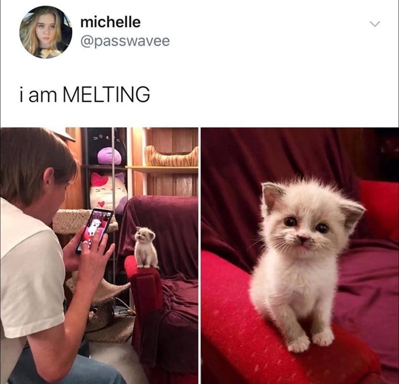 michelle @passwavee i am MELTING >
