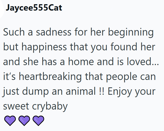 Jaycee555Cat Such a sadness for her beginning but happiness that you found her and she has a home and is loved... it's heartbreaking that people can just dump an animal !! Enjoy your sweet crybaby