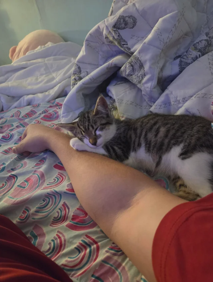 2272ZZZZZZZZZZZ 22.2