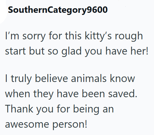 SouthernCategory9600 I'm sorry for this kitty's rough start but so glad you have her! I truly believe animals know when they have been saved. Thank you for being an awesome person!