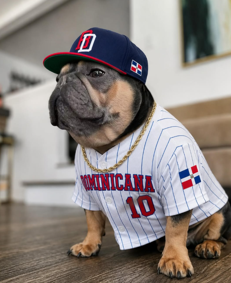 D OMINICANA 10