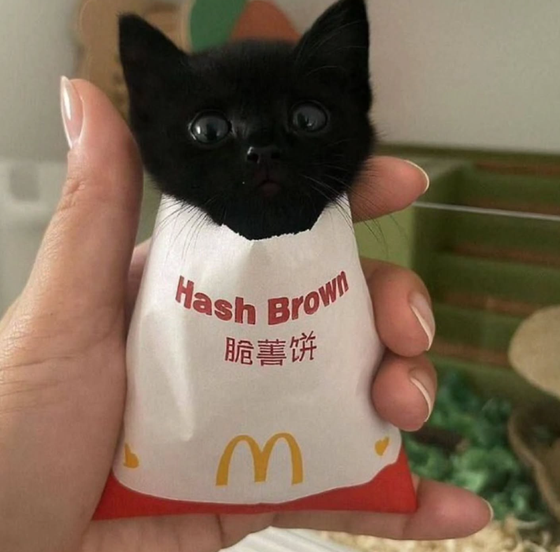 Hash Brown 脆薯饼 3