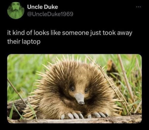 Uncle Duke @UncleDuke1969 it kind of looks like someone just took away their laptop