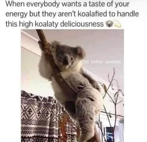 When everybody wants a taste of your energy but they aren't koalafied to handle this high koalaty deliciousness Get better sweetie