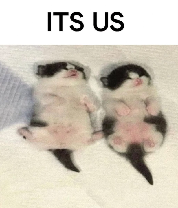 ITS US