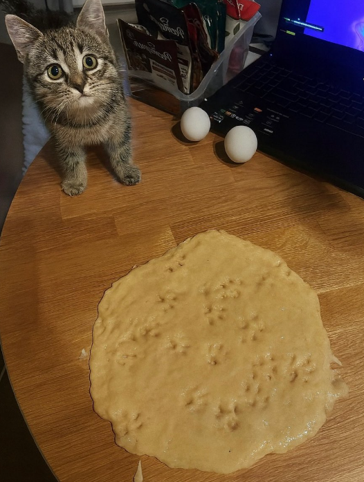 Cheezburger Image 10643473152