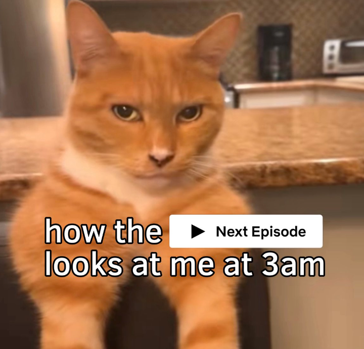 how the Next Episode looks at me at 3am