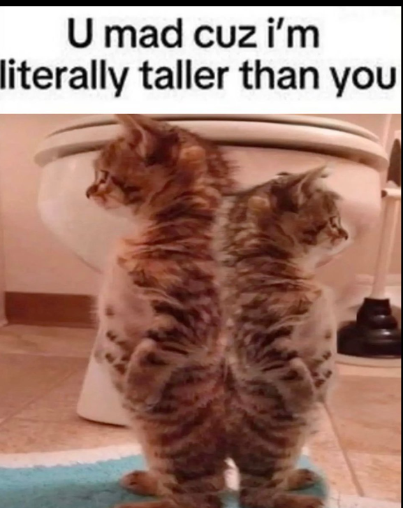 U mad cuz i'm literally taller than you