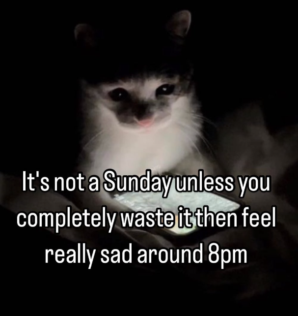 It's not a Sunday unless you completely waste it then feel really sad around 8pm