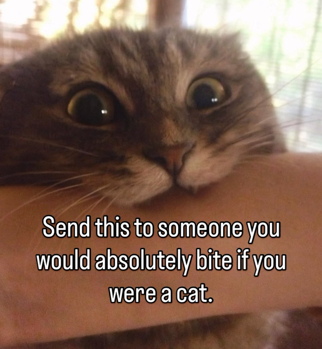 Send this to someone you would absolutely bite if you were a cat.