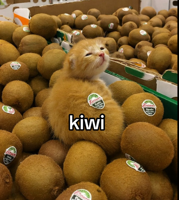 and fianit kiwi Zona Hanb 9011 M EY