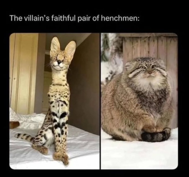 K The villain's faithful pair of henchmen: