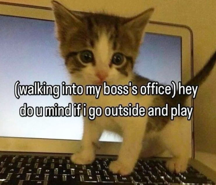 (walking into my boss's office) hey dou mind if i go outside and play