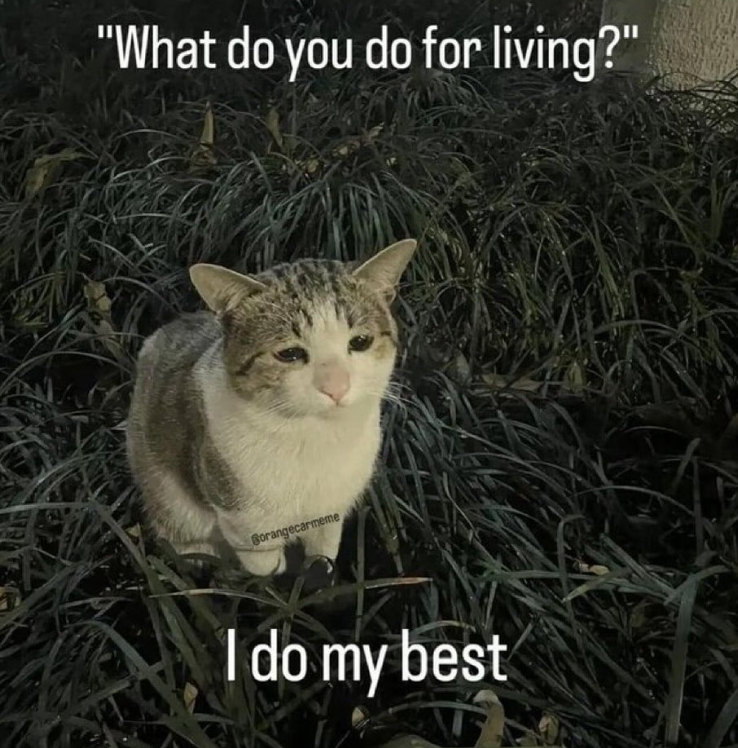 "What do you do for living?" Borangecarmeme I do my best